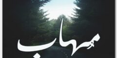 تعرف علي معنى اسم مهاب وصفات شخصيتة Mohab 2026