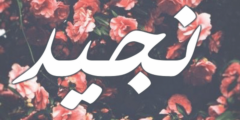 تعرف علي معنى اسم نجيد (Nejad) وحكم تسميته 2026