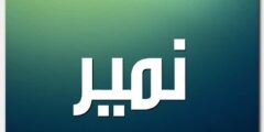 تعرف علي معنى اسم نمير Namir وصفات شخصيتة 2026