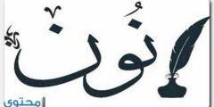 تعرف علي معنى اسم نون وأصله – موقع محتوى 2026