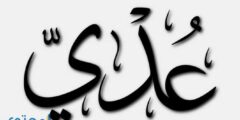 تعرف علي معنى اسم عدي وصفات حامل الاسم Oday 2026