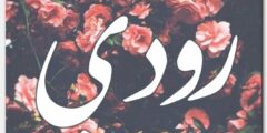 تعرف علي معنى اسم رودي Rody في قاموس معاني الأسماء 2026