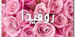 تعرف علي معنى اسم روفيدا وصفاتها الشخصية Rofida 2026