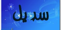 معنى اسم سديل وصفات شخصيتها Sadel 2026