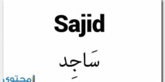 تعرف علي معنى اسم ساجد وحكم التسمية Sajid 2026