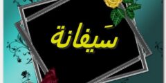تعرف علي معنى اسم سيفانة وأصله – موقع محتوى 2026