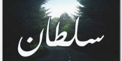 تعرف علي معنى اسم سلطان وصفاته وحكم التسمية به (Sultan) 2026