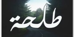 تعرف علي معنى اسم طلحة (Talha) وصفاته 2026