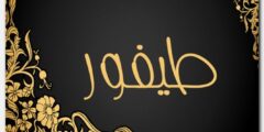 تعرف علي معنى اسم طيفور وصفات حامل الاسم 2026