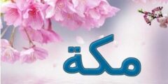 تعرف علي معنى اسم مكة وصفاتها الشخصية Makkah 2026