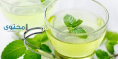 تفسير رؤية شرب النعناع في المنام 2026