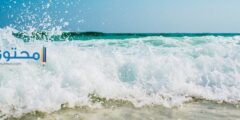 تفسير رؤية شاطئ البحر في المنام لابن سيرين والنابلسي 2026