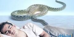 تفسير رؤية قتل الثعبان في المنام حرق الحية في الحلم 2026