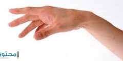 تفسير رؤية اليد في المنام للرجل ترمز إلى العمل 2026