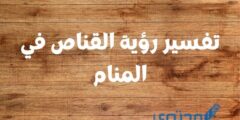 تفسير رؤية القناص في المنام ؛ دلالة لاعتماد الرائي على نفسه 2026