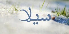 تعرف علي معنى اسم سيلا وصفاتها (Sela) في اللغة التركية واليونانية 2026