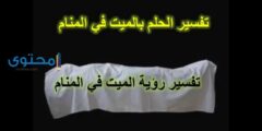 تفسير رؤية ميت مريض فى الحلم 2026