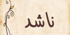 تعرف علي معنى اسم ناشد (Nashed) بالتفصيل 2026