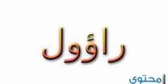 تعرف علي معنى اسم راؤول (Raul) وصفاته 2026