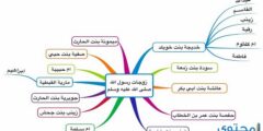 عدد زوجات النبي واسمائهن بالترتيب 2026
