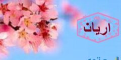 تعرف علي معنى اسم آريان (Aryan) وصفاته وشخصيته 2026