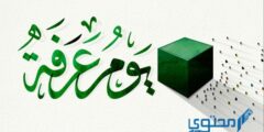 ما أفضل ما يقال يوم عرفة؟ وما هو فضل يوم عرفة؟ 2026