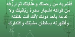 10 ادعية لحفظ الطفل الرضيع ؛ اللهم أسألك أن تحفظ طفلي 2026