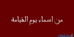 جميع اسماء يوم القيامة ومعانيها 2026