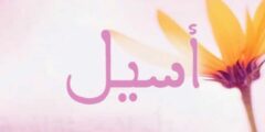 تعرف علي معنى اسم اسيل (Aseel) في اللغة العربية والتركية 2026