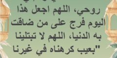 الحمد لله الذي أحيانا بعدما أماتنا وإليه النشور 2026