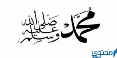 من هي الزوجة التي لم يتزوج عليها النبي 2026