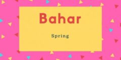 تعرف علي معنى اسم بهار (Bahar) بالتفصيل 2026