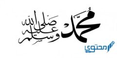 تاريخ وفاة الرسول محمد بالهجري 2026
