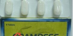 جراموسيف (Gramocef) دواعي الاستخدام والجرعة الصحيحة 2026