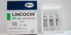 لينكوسين مضاد حيوي لعلاج الالتهابات البكتيرية Lincocin 2026
