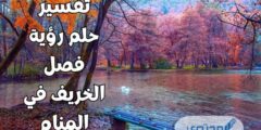 تفسير حلم رؤية فصل الخريف في المنام 2026