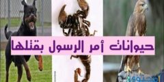 الحيوانات التي امر الرسول بقتلها 2026