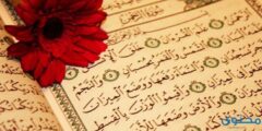 فضل قراءة سورة الرحمن وسبب نزولها 2026