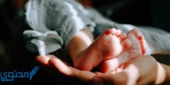دعاء الحمل بعد الدورة الشهرية اللهم ارزقني الذرية الصالحة 2026
