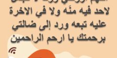 دعاء الضالة الضائعة المستجاب مجرب فعال 2026