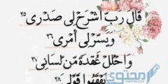 شرح دعاء سيدنا موسى (رَبِّ اشرح لِي صدرِي ويسر لي أَمرِي) 2026