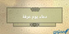 اجمل 20 دعاء لمن تحب في يوم عرفة (لشخص عزيز عليك) 2026