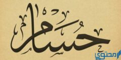 تعرف علي دلع اسم حسام Hossam بالعربي والانجليزي 2026