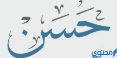 تعرف علي دلع اسم حسن Hassan بالعربي والانجليزي 2026