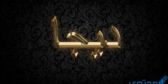 تعرف علي دلع اسم ديجا Dija بالعربي والانجليزي 2026