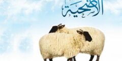 شرح كيف تذبح الأضحية وماذا يقول عند ذبح الأضحية؟ 2026