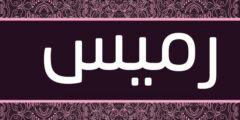 تعرف علي معنى اسم رميس (Ramees) بالتفصيل 2026