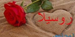 تعرف علي معنى اسم روسيلا وصفات من تحمله 2026
