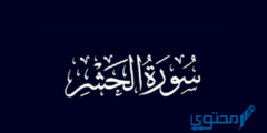 سورة الحشر مكتوبة بالتشكيل PDF 2026
