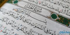فوائد تلاوة سورة الحشر – موقع محتوى 2026